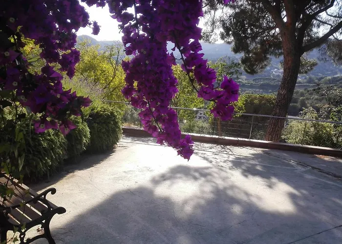 Hotel Porta D'alella Alella